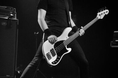 Danko Jones @ Trix, picture 5, photographed by Erwin Evrard - FrontView Magazine