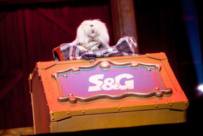 De Grote Sinterklaasshow 2016 @ Sportpaleis, foto 42, foto's door Dimitri Vanlommel - FrontView Magazine