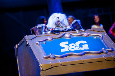 De Grote Sinterklaasshow 2016 @ Sportpaleis, foto 115, foto's door Dimitri Vanlommel - FrontView Magazine