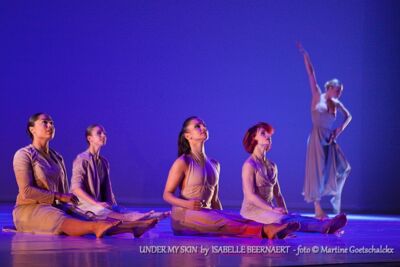 "Under my skin" by Isabelle Beernaert @ Ethias Arena Hasselt, picture 2, photographed by Martine Goetschalckx - FrontView Magazine
