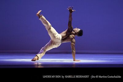 "Under my skin" by Isabelle Beernaert @ Ethias Arena Hasselt, picture 3, photographed by Martine Goetschalckx - FrontView Magazine