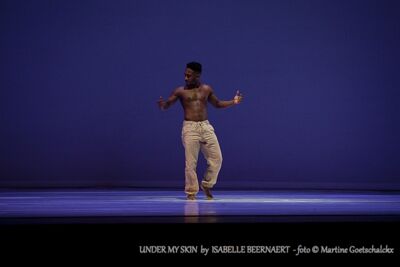 "Under my skin" by Isabelle Beernaert @ Ethias Arena Hasselt, picture 4, photographed by Martine Goetschalckx - FrontView Magazine