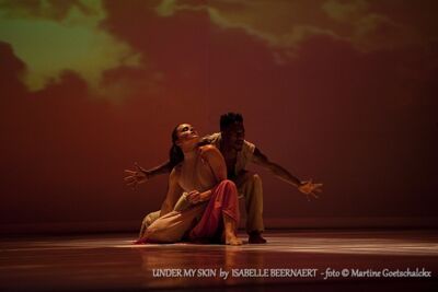 "Under my skin" by Isabelle Beernaert @ Ethias Arena Hasselt, picture 11, photographed by Martine Goetschalckx - FrontView Magazine