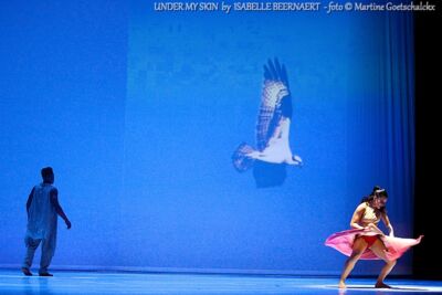 "Under my skin" by Isabelle Beernaert @ Ethias Arena Hasselt, picture 15, photographed by Martine Goetschalckx - FrontView Magazine