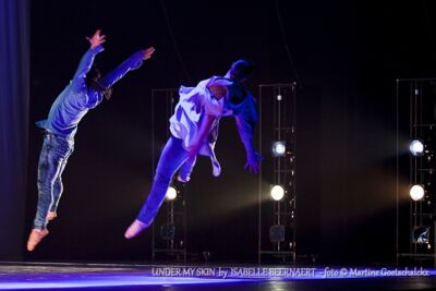 "Under my skin" by Isabelle Beernaert @ Ethias Arena Hasselt, picture 21, photographed by Martine Goetschalckx - FrontView Magazine