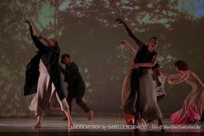 "Under my skin" by Isabelle Beernaert @ Ethias Arena Hasselt, picture 25, photographed by Martine Goetschalckx - FrontView Magazine