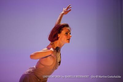 "Under my skin" by Isabelle Beernaert @ Ethias Arena Hasselt, picture 35, photographed by Martine Goetschalckx - FrontView Magazine