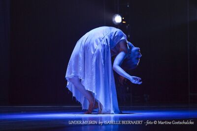 "Under my skin" by Isabelle Beernaert @ Ethias Arena Hasselt, picture 66, photographed by Martine Goetschalckx - FrontView Magazine