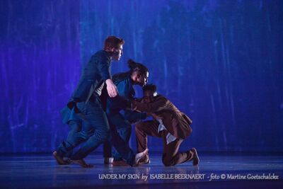 "Under my skin" by Isabelle Beernaert @ Ethias Arena Hasselt, picture 67, photographed by Martine Goetschalckx - FrontView Magazine