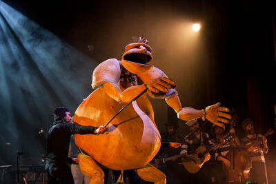 Kapitein Winokio - Berenconcerten @ AB Brussel, picture 20, photographed by Frank Lambrechts - FrontView Magazine
