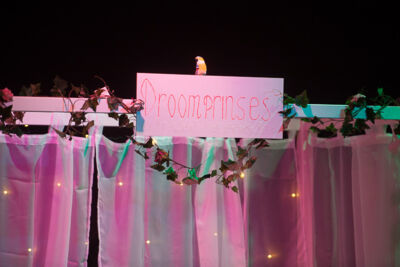 Droomprinses @ Het Appeltje, picture 30, photographed by Goele Bormans - FrontView Magazine