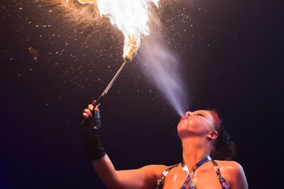 Zillion @ Sportpaleis, foto 58, foto's door Marc Verdonck - FrontView Magazine