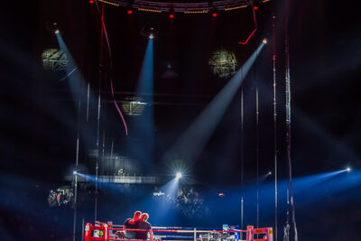 MNM Back To The 90's & 00’s @ Sportpaleis, picture 53, photographed by Marc Verdonck - FrontView Magazine