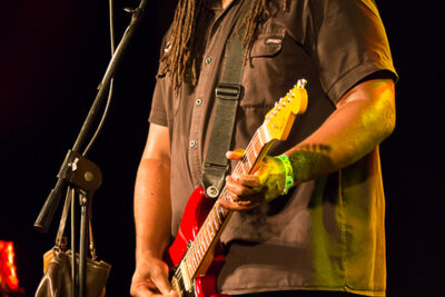 Alvin Youngblood Hart’s Muscle Theory @ Duvelblues, picture 20, photographed by Marc Verdonck - FrontView Magazine