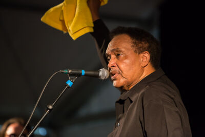 Johnny Rawls @ Duvelblues, picture 25, photographed by Marc Verdonck - FrontView Magazine