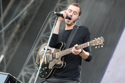 Editors @ NOVA ROCK 2016, picture 14, photographed by Dorien Goetschalckx - FrontView Magazine