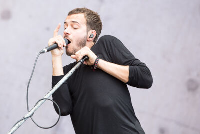 Editors @ NOVA ROCK 2016, picture 26, photographed by Dorien Goetschalckx - FrontView Magazine