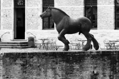 Engie Parkies 2016 persvoorstelling @ kasteel Diepensteyn, picture 5, photographed by Bart Baevegems - FrontView Magazine