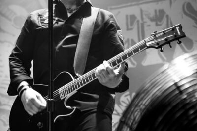 The Offspring @ 013, picture 8, photographed by Erwin Evrard - FrontView Magazine