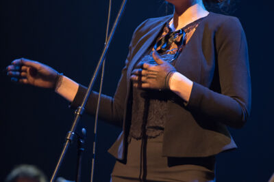 Benefiet voor Café Kiebooms @ De Roma, picture 3, photographed by Marc Verdonck - FrontView Magazine