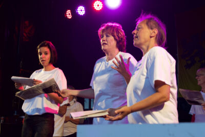 Vlaanderen Zingt @ Londerzeel 2016, foto 20, foto's door Bart Baevegems - FrontView Magazine