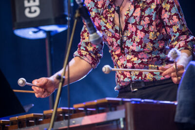 Flat Earth Society feat. Mauro Pawlowski @ Gent Jazz 2016, picture 11, photographed by Jan van Hecke - FrontView Magazine