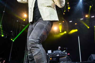 Seal @ Bospop, foto 2, foto's door Erwin Evrard - FrontView Magazine