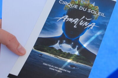 Cirque du Soleil Amaluna @ Knokke-Heist, picture 8, photographed by Peter Minnebo - FrontView Magazine