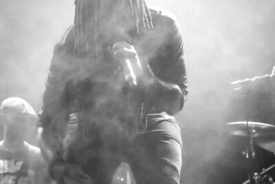Gentleman & Ky-Mani Marley @ Reggae Geel 2016, picture 23, photographed by Robine Van Roy - FrontView Magazine