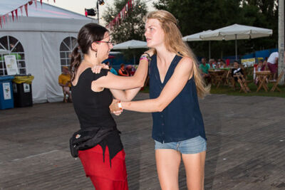 Sfeer & Publieksfoto's @ BoombalFestival Dag 1 Lovendegem, picture 6, photographed by Guy Danneels - FrontView Magazine