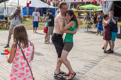 Bazz-Quartet @ BoombalFestival Dag 2 Lovendegem, picture 21, photographed by Guy Danneels - FrontView Magazine