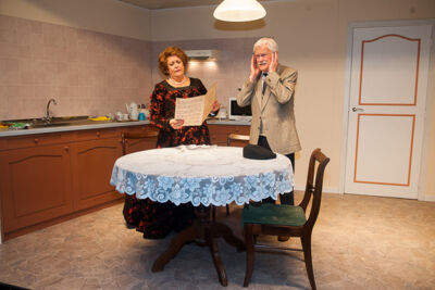 Première Schone Schijn 2 @ Theater Elckerlyc, picture 31, photographed by Goele Bormans - FrontView Magazine