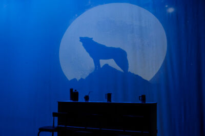 Musical "De 3 Biggetjes" gebracht door Wysiwyg @ CC De Mol, picture 1, photographed by Alex Wyckmans - FrontView Magazine