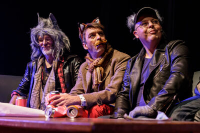 Musical "De 3 Biggetjes" gebracht door Wysiwyg @ CC De Mol, picture 5, photographed by Alex Wyckmans - FrontView Magazine