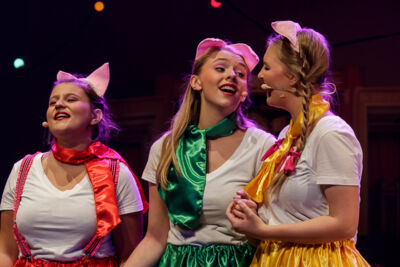 Musical "De 3 Biggetjes" gebracht door Wysiwyg @ CC De Mol, picture 14, photographed by Alex Wyckmans - FrontView Magazine