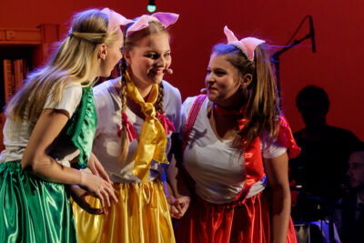 Musical "De 3 Biggetjes" gebracht door Wysiwyg @ CC De Mol, picture 15, photographed by Alex Wyckmans - FrontView Magazine