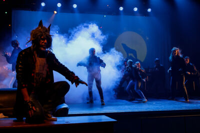 Musical "De 3 Biggetjes" gebracht door Wysiwyg @ CC De Mol, picture 16, photographed by Alex Wyckmans - FrontView Magazine