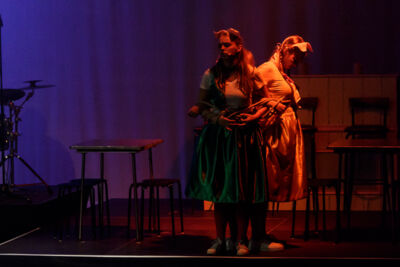 Musical "De 3 Biggetjes" gebracht door Wysiwyg @ CC De Mol, picture 19, photographed by Alex Wyckmans - FrontView Magazine