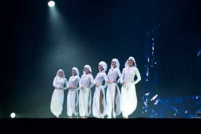 Lord of the Dance @ Lotto Arena, picture 16, photographed by Bart Baevegems - FrontView Magazine