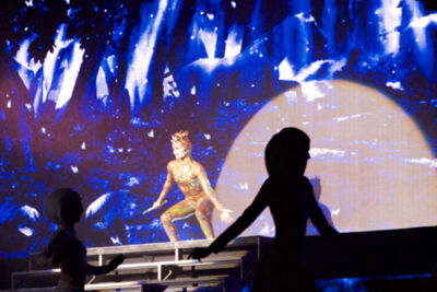 Lord of the Dance @ Lotto Arena, picture 17, photographed by Bart Baevegems - FrontView Magazine