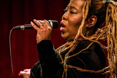 Hageland Blues & Roots Night @ CC De Roos ~ Glabbeek, picture 16, photographed by Raf Degeest - FrontView Magazine