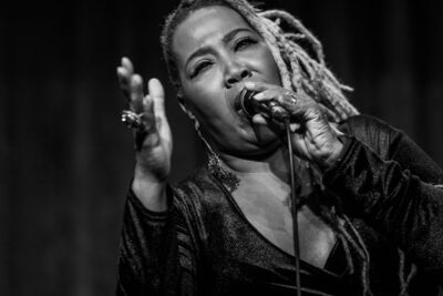 Hageland Blues & Roots Night @ CC De Roos ~ Glabbeek, picture 27, photographed by Raf Degeest - FrontView Magazine