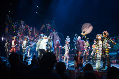 Première Cats @ Elisabethzaal Antwerpen, picture 12, photographed by Goele Bormans - FrontView Magazine