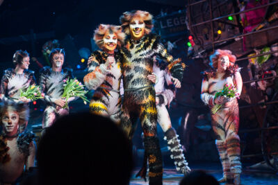 Première Cats @ Elisabethzaal Antwerpen, picture 14, photographed by Goele Bormans - FrontView Magazine