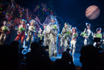 Première Cats @ Elisabethzaal Antwerpen, picture 17, photographed by Goele Bormans - FrontView Magazine