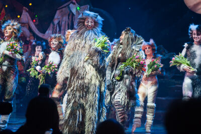 Première Cats @ Elisabethzaal Antwerpen, picture 18, photographed by Goele Bormans - FrontView Magazine