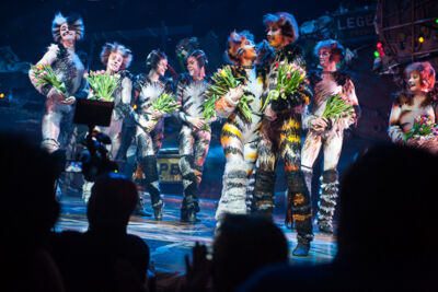 Première Cats @ Elisabethzaal Antwerpen, picture 20, photographed by Goele Bormans - FrontView Magazine