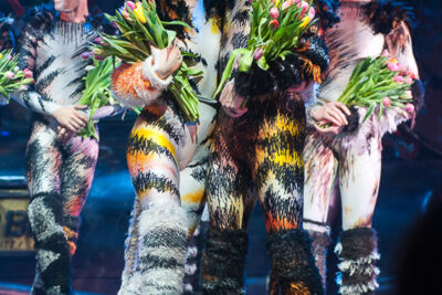 Première Cats @ Elisabethzaal Antwerpen, picture 21, photographed by Goele Bormans - FrontView Magazine