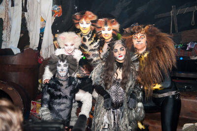 Première Cats @ Elisabethzaal Antwerpen, picture 31, photographed by Goele Bormans - FrontView Magazine
