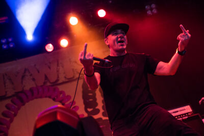 Pennywise @ Groezrock 2017, foto 1, foto's door Dorien Goetschalckx - FrontView Magazine